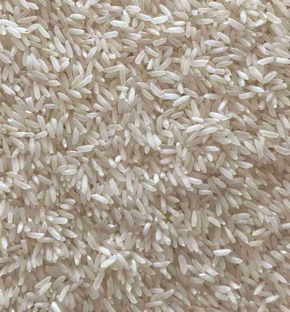 Sriram Kolam Rice 1KG Loose