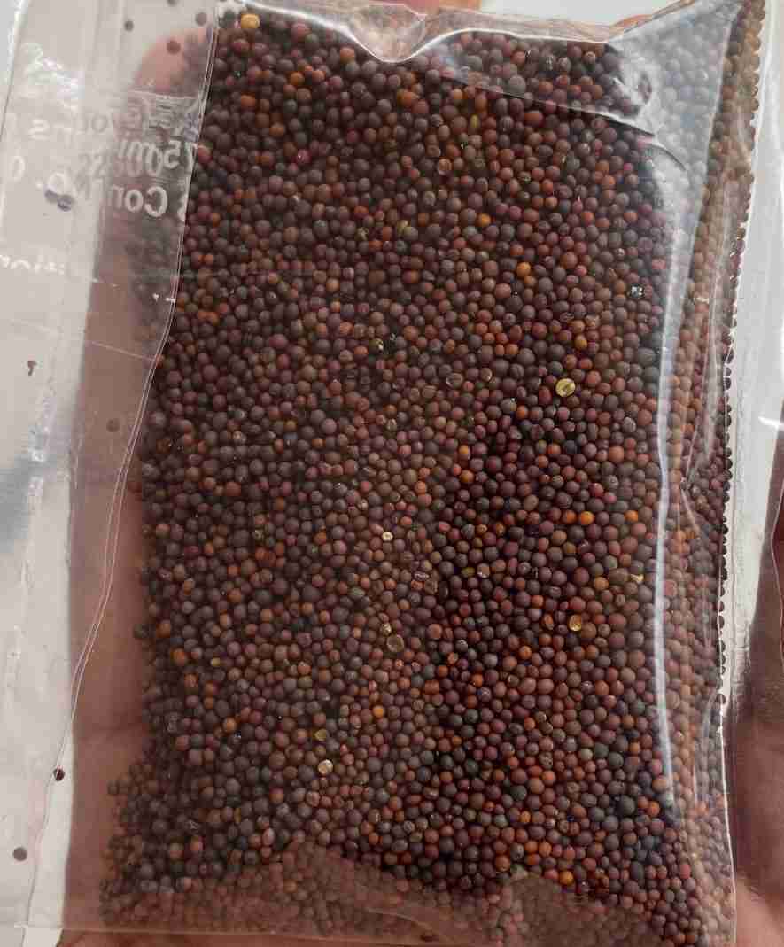 Mohri small 50gm